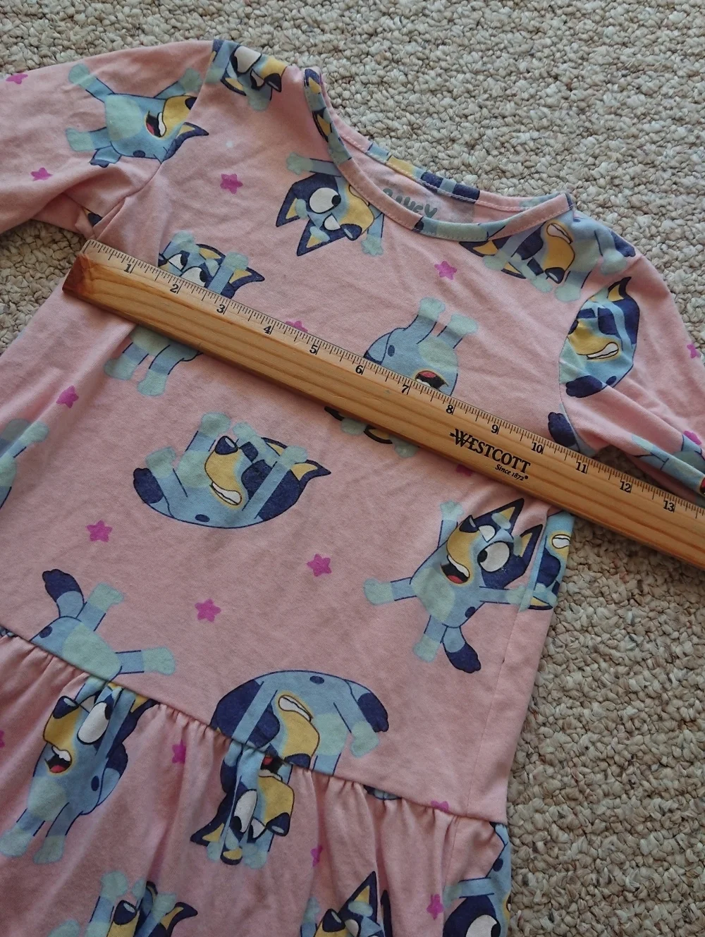 Bluey Toddler Girl Print Drop Waist Dress with Long Sleeves Size 3T